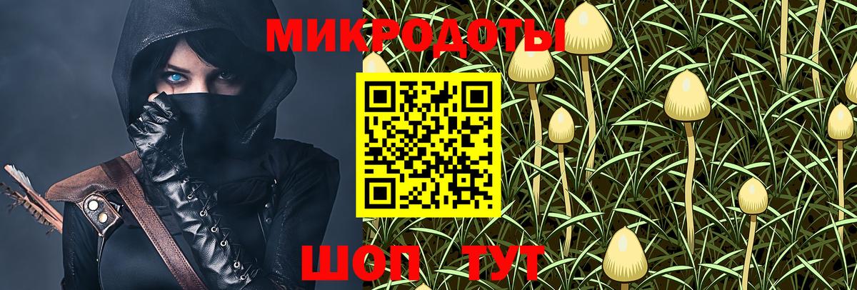 Тавда  Псилоцибиновые грибы мицелий  Вход с VPN 