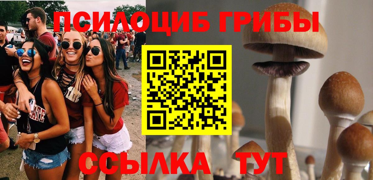 Галлюциногенные грибы MAGIC MUSHROOMS Тавда